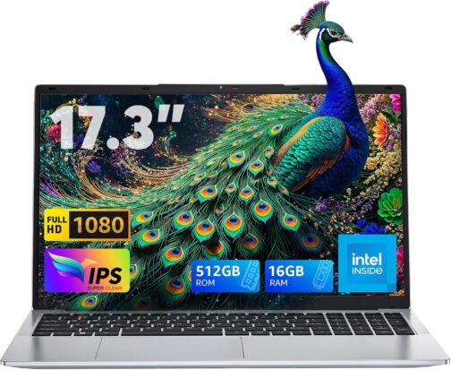 ACEMAGIC 2025 Laptop,17.3-Inch FHD Display Laptop Computer with Quad Core-12th Alder Lake N97(Up to 3.6GHz), 16GB RAM DDR4 512GB ROM Laptop Computer, 6000Mah Battery,Silver